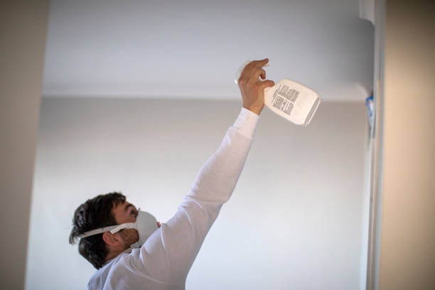 Professional Mold Removal in Allendale, CA