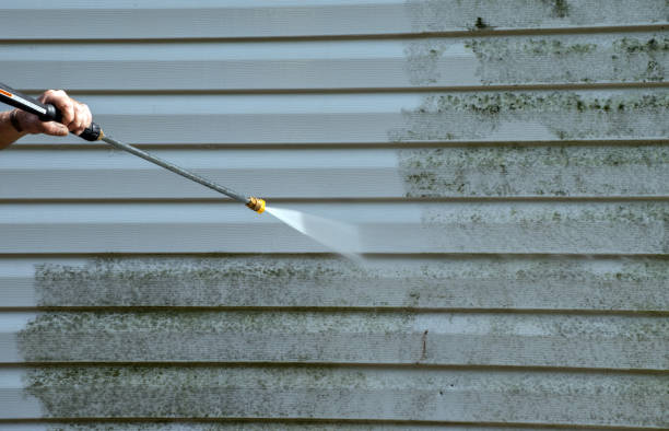 Best Certified Mold Removal  in Allendale, CA