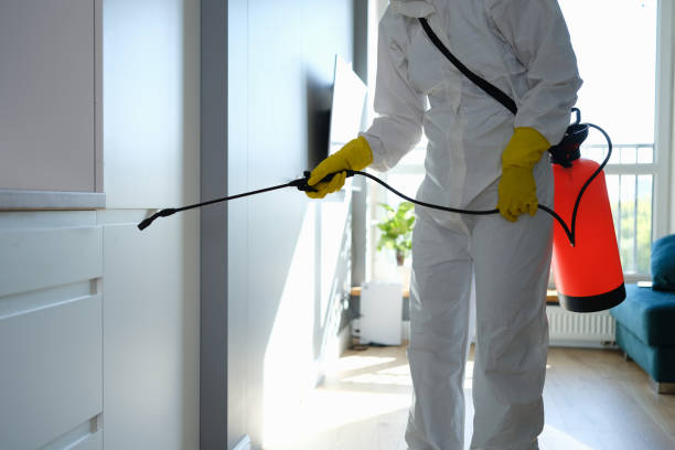 Best Commercial Mold Removal  in Allendale, CA