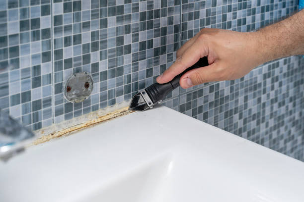 Best Local Mold Removal Service  in Allendale, CA