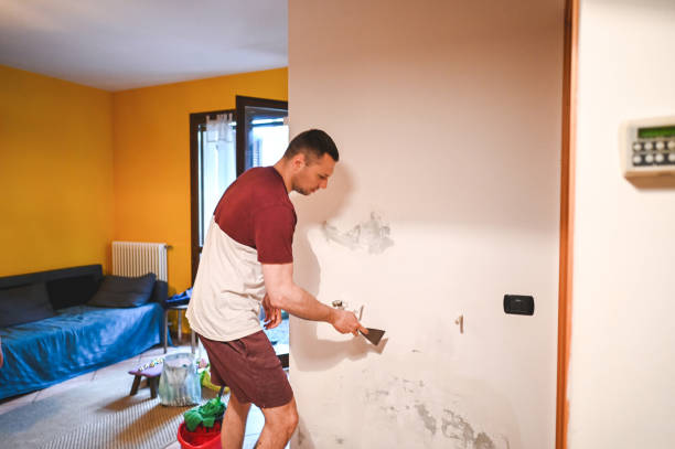 Best Residential Mold Removal  in Allendale, CA